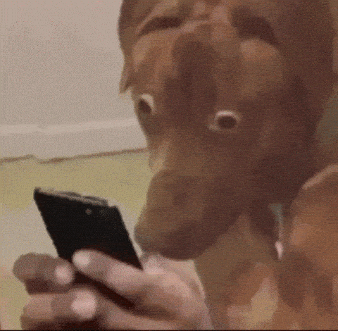 GIF in reactie