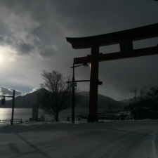 Avatar Watashi-wa-Maurice-desu