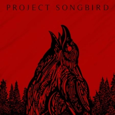 Packshot Project Songbird