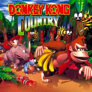Packshot Donkey Kong Country