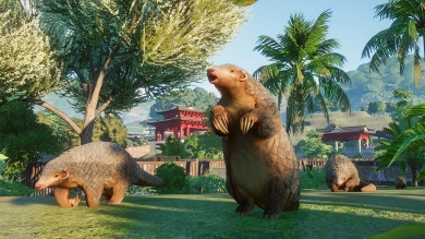 Wensen voor toekomstige Planet Zoo DLC