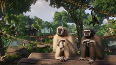 Het is een jungle in Planet Zoo: Tropical Pack