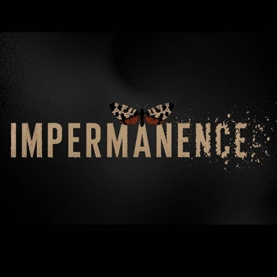 Packshot Impermanence