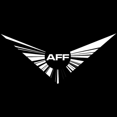 Packshot Angels Fall First
