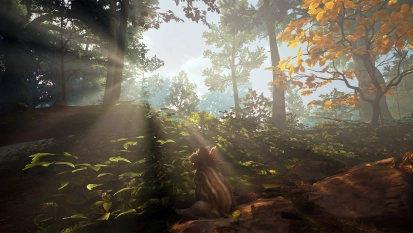 Een april-releasedatum voor de babyzwijntjes in Adorable Adventures