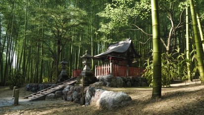 Ga op tour in miniseries Forza Horizon 6 - Art of Driving