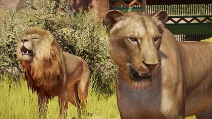 Planet Zoo 2 Feature Focus toont Afrikaanse leeuw in actie