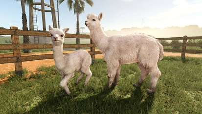 Farming Simulator 25 krijgt uitbreiding Beans & Alpacas