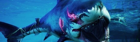 Maneater: 's werelds eerste open world shark RPG