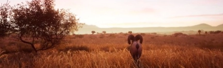 Hunting Simulator 2 trailer toont de dieren