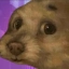Avatar melvinchowder