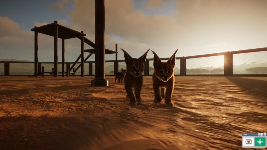 Planet Zoo Grasslands Animal Pack Caracal