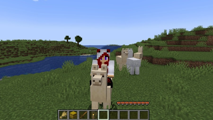 Lamas temmen in Minecraft