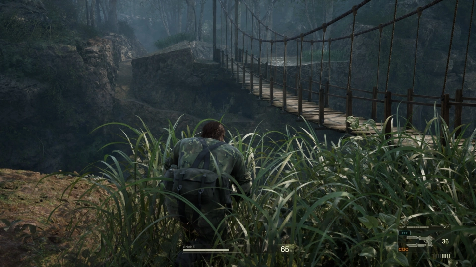 Metal Gear Solid Delta Snake Eater 2