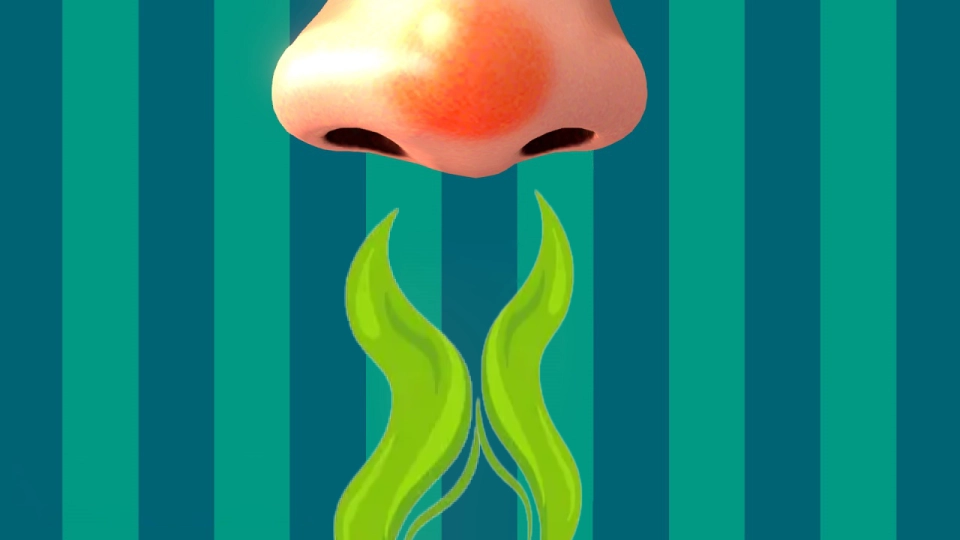 Geurtechnologie opinion