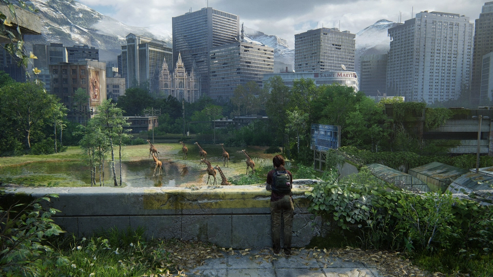 The Last of Us De Rondvraag 2026