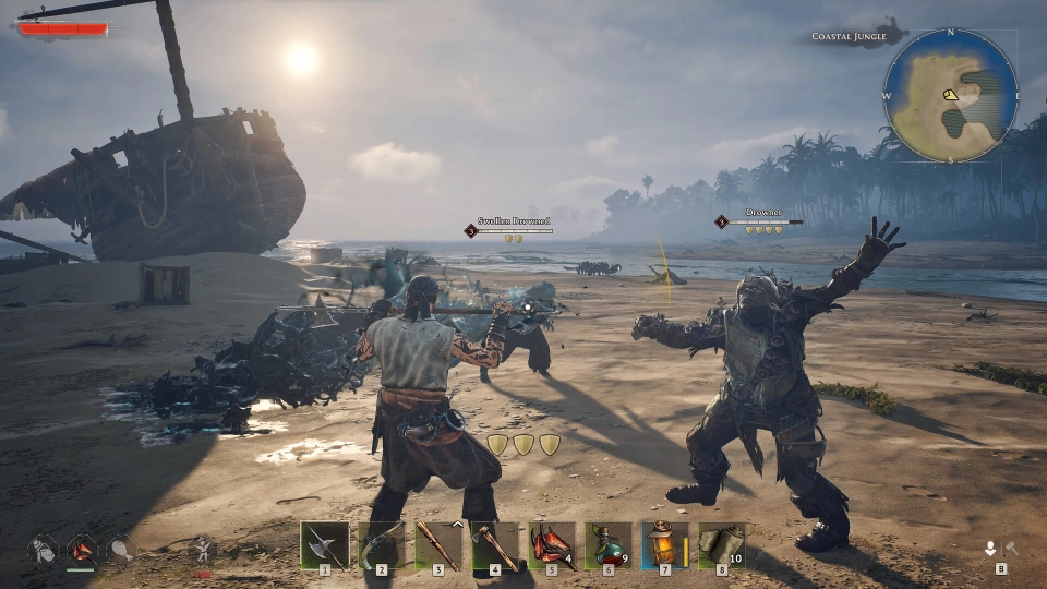 Windrose combat
