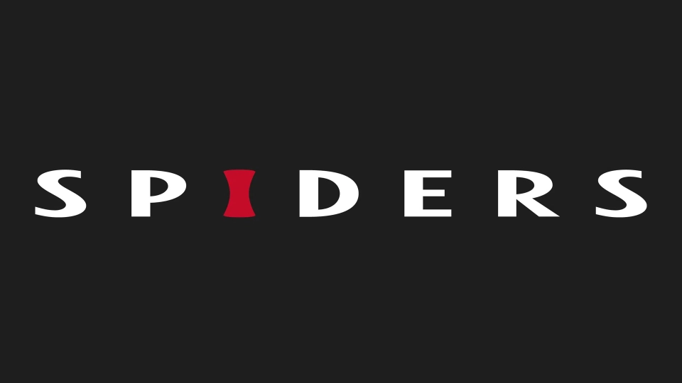 Spiders Studio Logo Sluiting