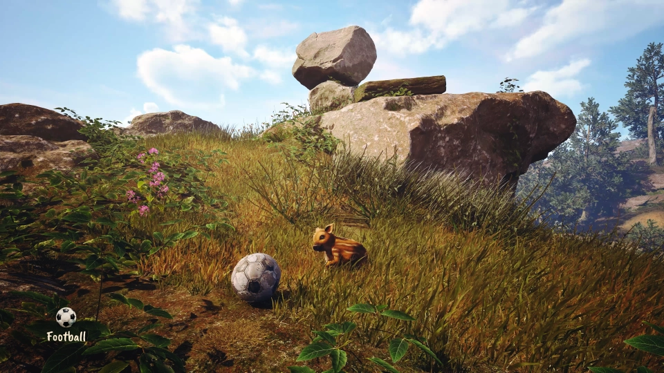 Adorable Adventures Boris met voetbal