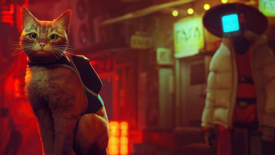 Stray Nintendo Switch 2 winactie