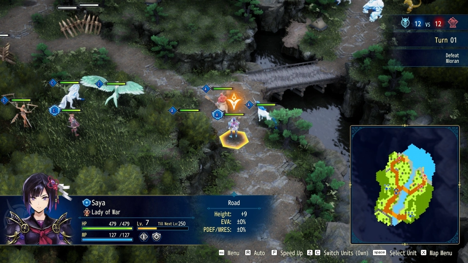 Brigandine Abyss Review 2