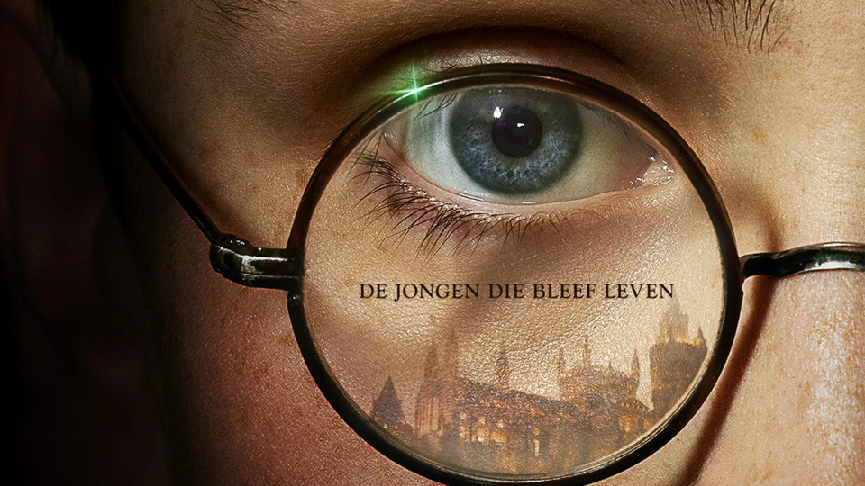 Harry Potter en de Steen der Wijzen Poster