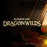 Packshot RuneScape: Dragonwilds